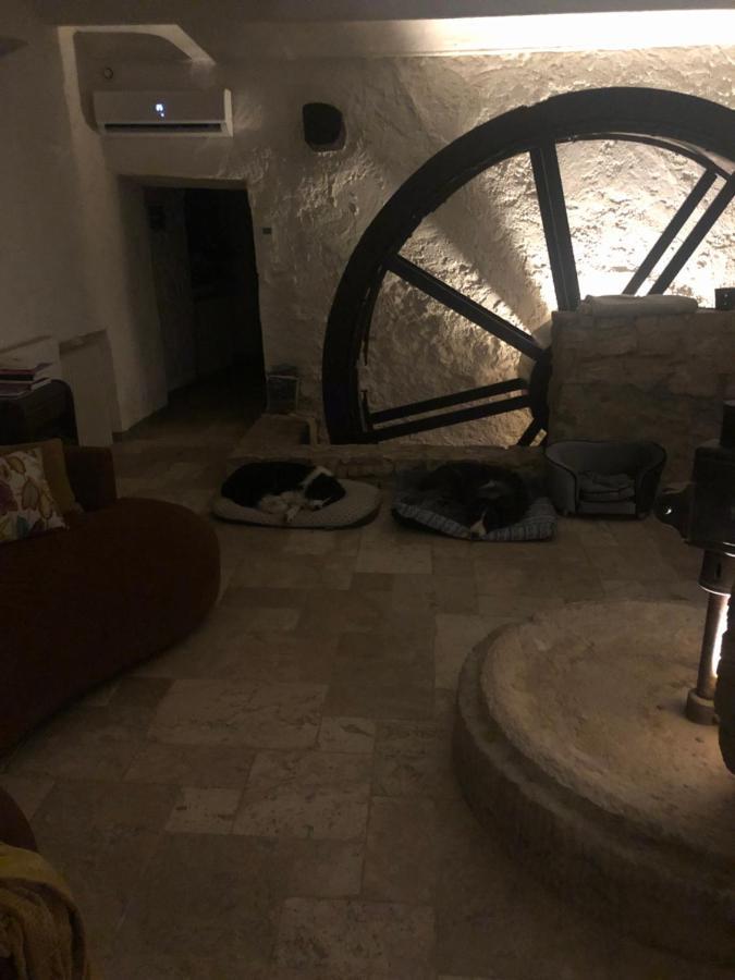 Moulin A Huile Chambre D'Hotes Vins-sur-Caramy Экстерьер фото
